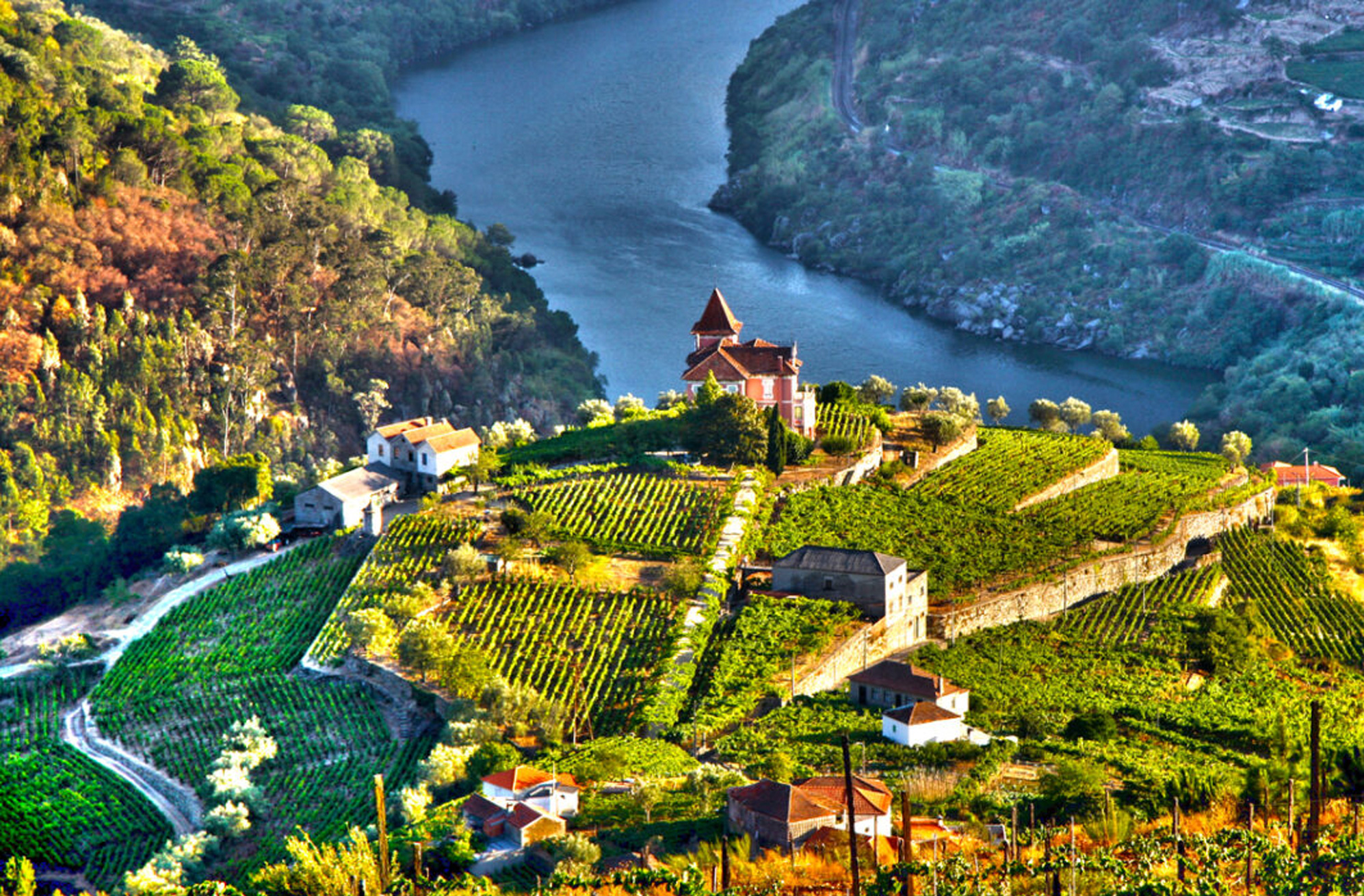 discover portugal
